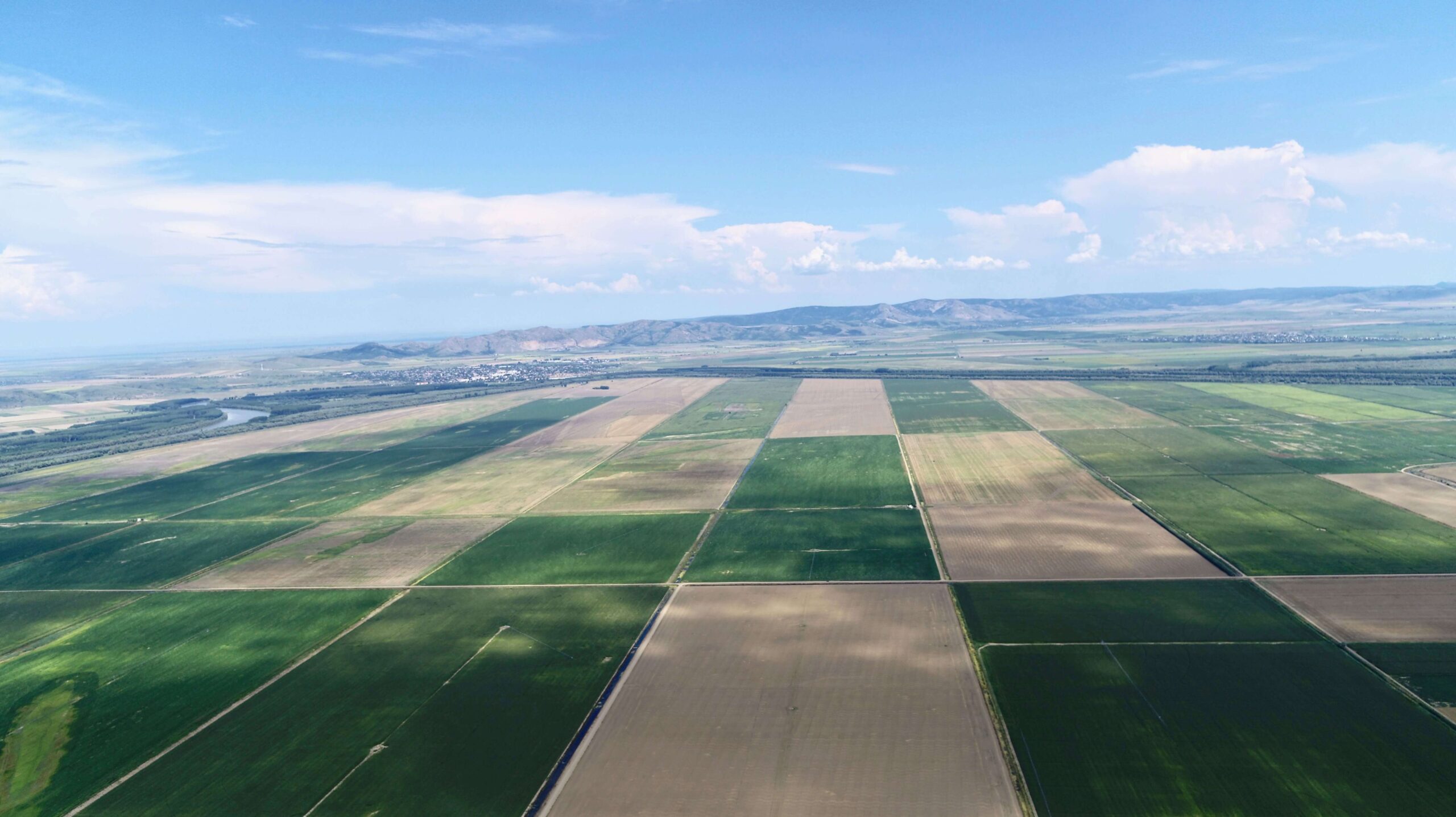 Al Dahra Braila Farm Field