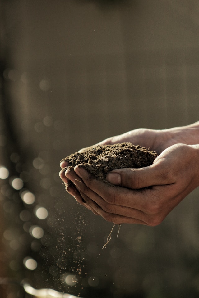 Person holding soil in hands